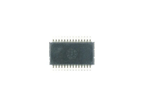 PCM4202DBR-模数转换器-荔枝视频官网在线观看